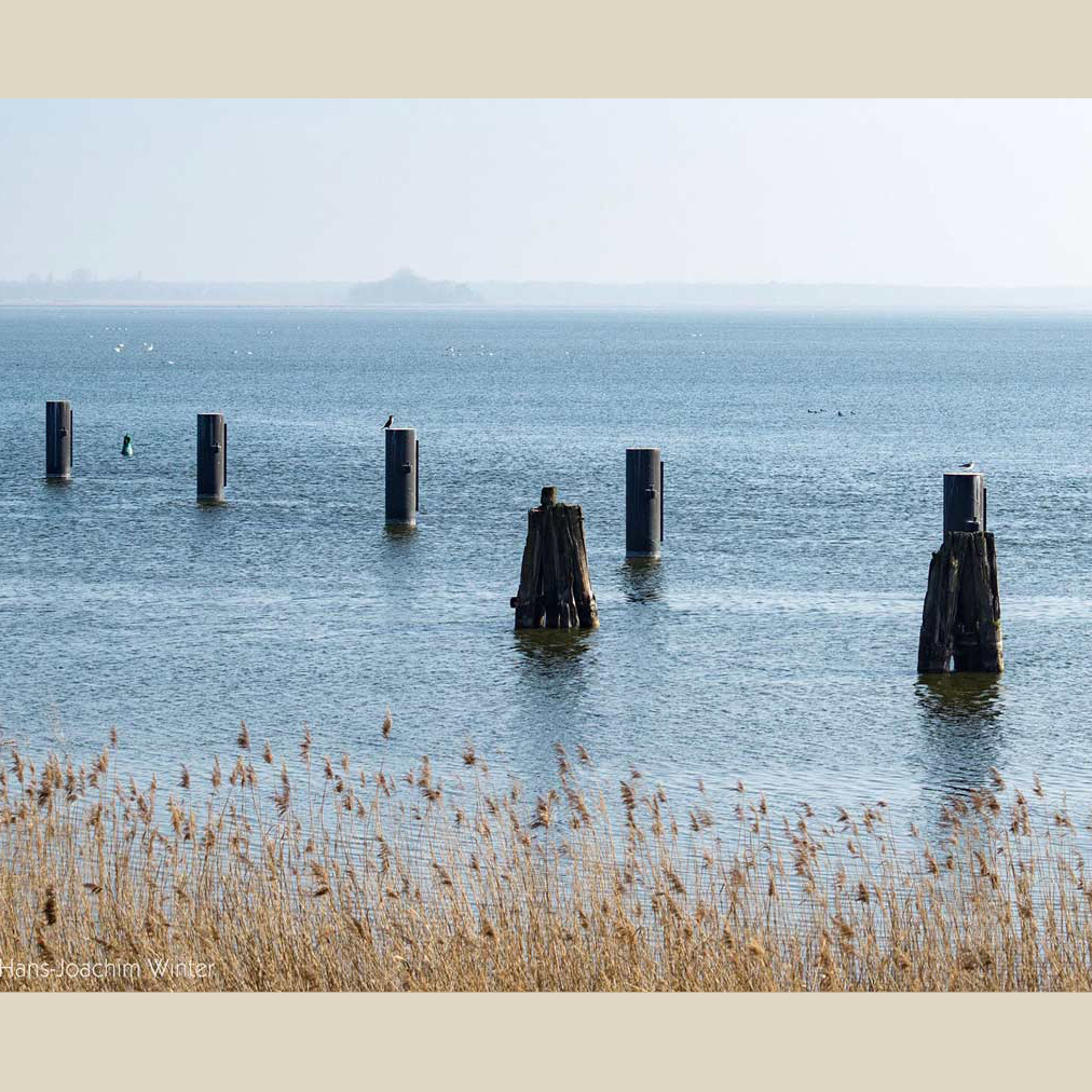 Bodden
